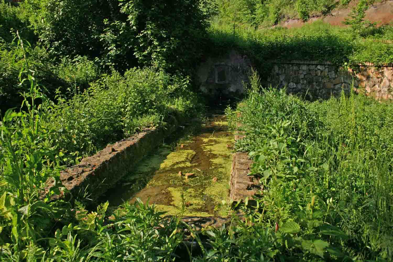 Fontanili del Lazio